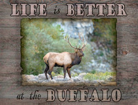 Life is Better w/BNR Elk #1 - 16x12 - 4:3