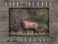 Life is Better w/BNR Elk #2 - 16x12 - 4:3