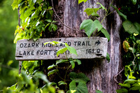 Ozark Highland Trail - 18x12 - 3:2