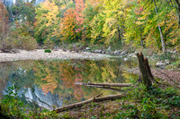 Fall Reflection at Steele Creek - 36x24 - 3:2