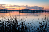 Sunrise at Lake Conway - 24x16 - 3:2