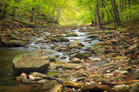 Steele Creek in Early Fall - 36x24 - 3:2