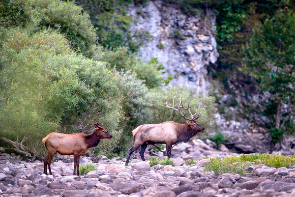 Mile 21.8 - Crossing the Buffalo (downstream)